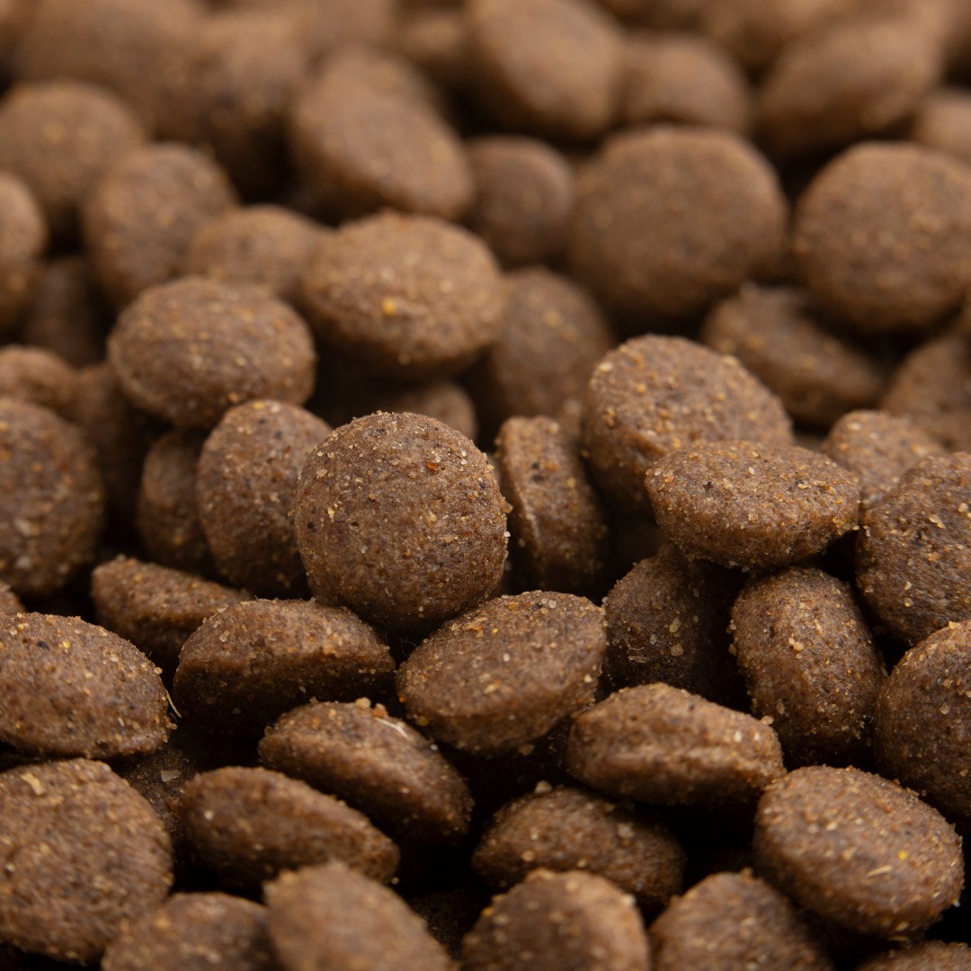 BOHEMIA BREEDERS hobuselihaga täissööt kõikide tõugude täiskasvanud koertele 20 kg - Pilt 2